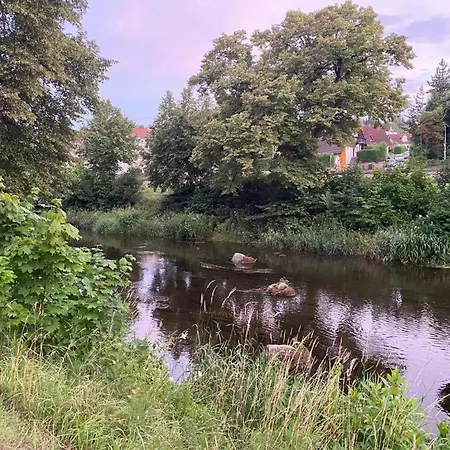 Apartment An Der Brigach *