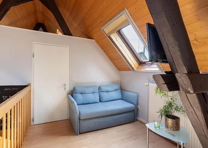 Apartment An Der Brigach *